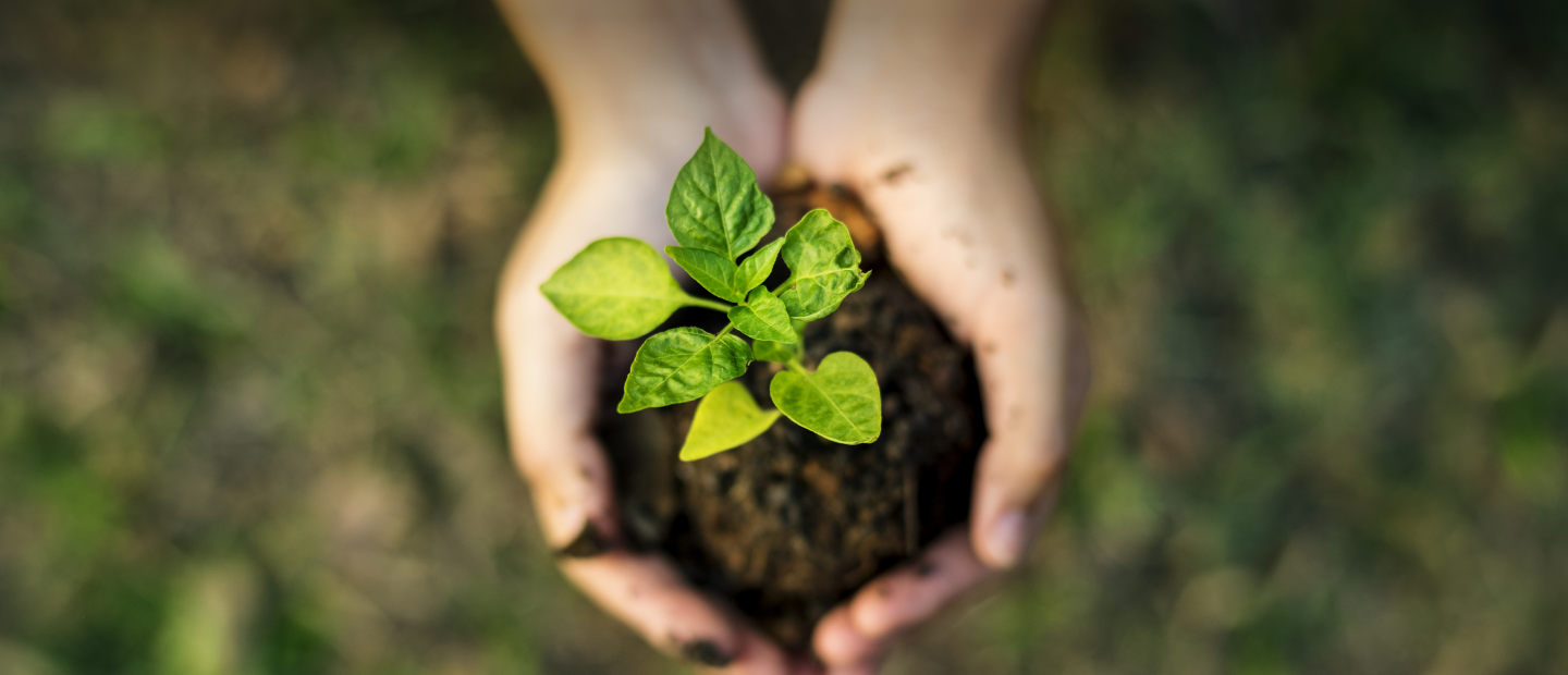 Sustainability Background